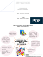 Mapa Mental Etapa de Contextualizacion