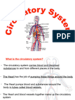 Circulatory System PPT Updated