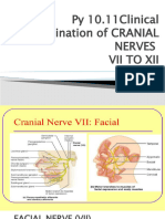 7 To 12 Cranial Nerve Examination