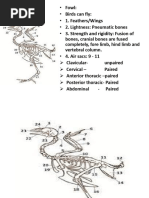 New Ppt-25 Bones of Fowl