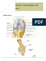 Planches Anatomiques Du Genou. Planches Anatomiques Du Genou. DR E Bigorra. Anatomie Osseuse