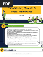 Foetal Period and Foetal Membranes 23