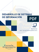 Desarrollo de Sistemas de Informacion