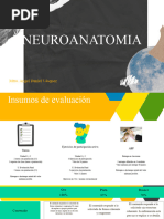 Neuroanatomía PT 1