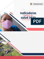 Indicadores Basicos Salud 2022