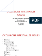 UE 2.8 S3 Hassam Occlusions Intestinales Aigues 2021-2022