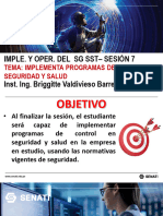 Impl. y Oper Del SG-SST s12 Programa de Control de Seguridad