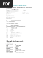 Ejemplo de Anamnesis