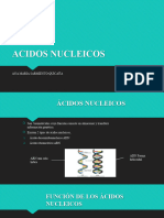 Acidos Nucleicos