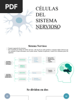 Tema #2 Celulas Del Sistema Nervioso