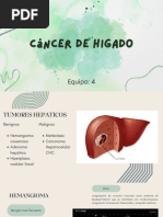 Cáncer Hepático