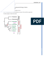 Evolutionary Crossroads in Developmental Biology Cnidaria - Technau