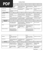 2019 Lab Report Rubric