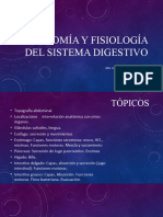 Anatomía y Fisiología Del Sistema Digestivo