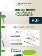 Aula 05 - Propagação e Cultivo de Plantas Medicinais, Aromáticas e Condimentares.