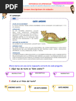 D1 A1 FICHAS Leemos Descripciones de Animales