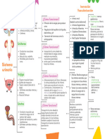Cuadro Sinóptico (Sistema Urinario) - 20240508 - 180854 - 0000