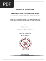 Subramanya Internship Document