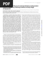 CationicGradientReversalandCytoskeleton Independent