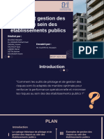 Pilotage Et Gestion Des Risques Aux Sein Des Établissements Publics (Présentation)