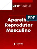 Resumo Super Material Aparelho Reprodutor Masculino 4948979 1701340487