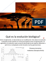 Teo 3 - Selección y Eficacia Biológica