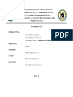 Informe #2 - Grupo 2