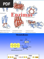 Enzimas, Cinetica y Regulación