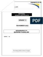 Grade 11 Geography P1 Memo