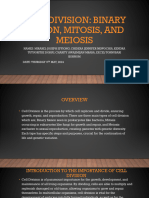 Group H Pathology Presentation