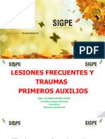 Primeros Auxilios Lesiones Frecuentes y Traumas