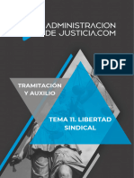 Tema 11. Libertad Sindical: Tramitación Y Auxilio