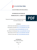 Estructura Del Informe de Problemática Ambiental Final