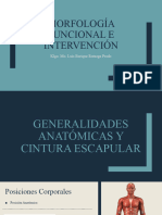 Generalidades y Cintura Escapular