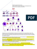 Apg 28 Leucemia