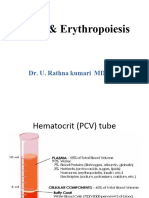 Erythropoiesis