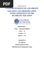 Math Project On Nature of Roots of Quadratic Equation