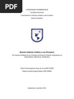 Derecho Notarial - Principios Notariales Arreglado