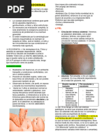 SEMIOLOGIA ABDOMINAL Fatante (Recuperado Automáticamente)