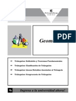 Geomtria (Triangulos) Anual