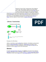 Library Construction: Transcriptome Mrna