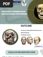 Biomechanic & Anatomy Mxillofacial Buttresses Hemas