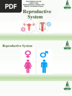 Reproductive 2