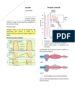 Regulación Presión Arterial