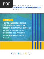 Sudans Working Group