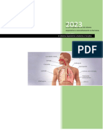 O Sistema Respiratório Desempenha Um Papel Fundamental Na Sobrevivência Dos Organismos Multicelulares