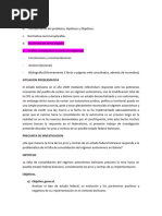 Trabajo Grupal Pros y Contras Del Federalismo