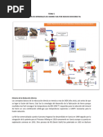 Reduccion Directa de Minerales de Hierro