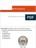 Curs 7. Talamusul Si Hipotalamusul