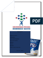 Proyecto Formativo Pil Andina Avance